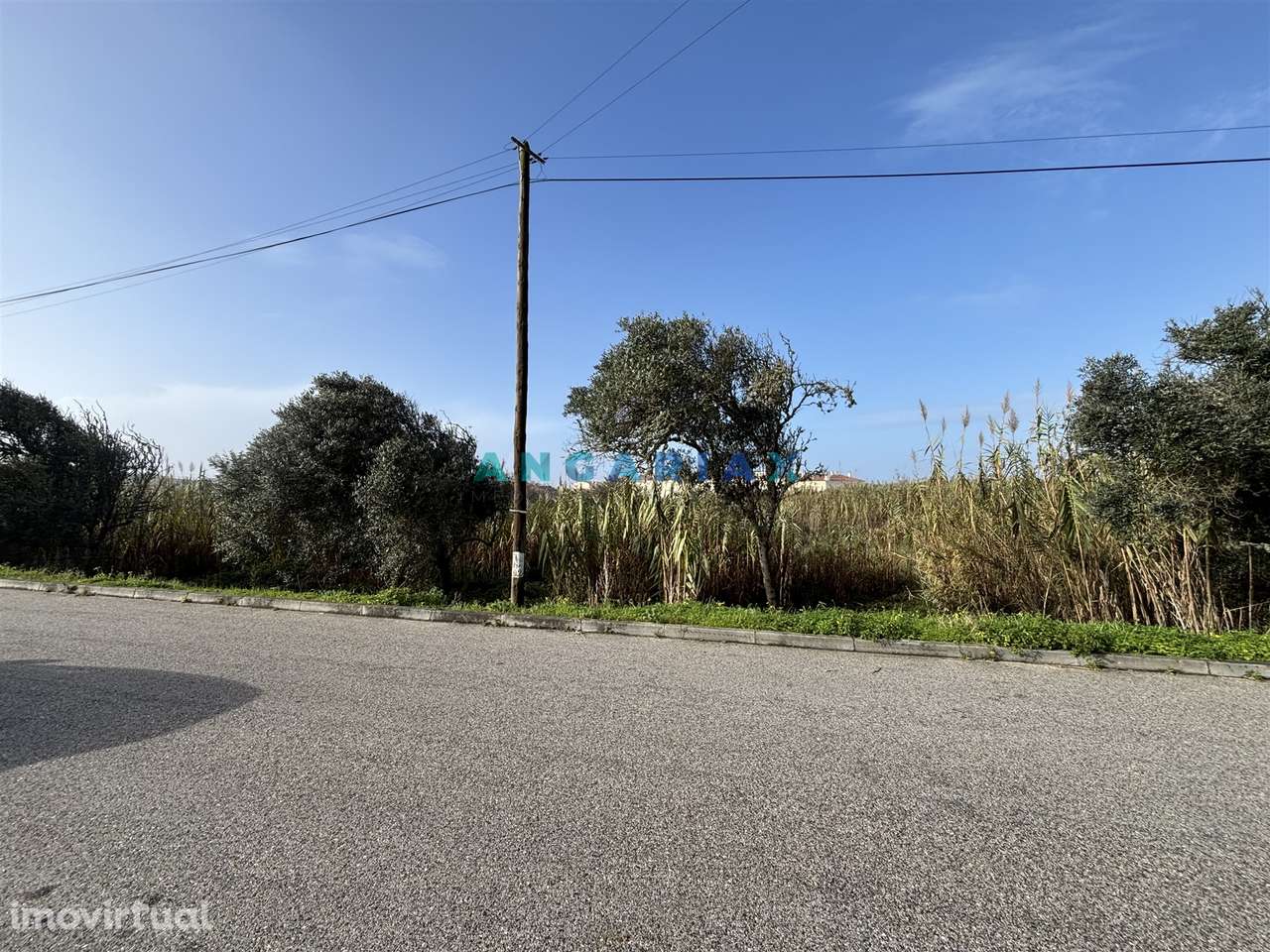 ANG1522 - Terreno para Venda em Praia do Pedrógão, Leiria - Grande imagem: 5/15