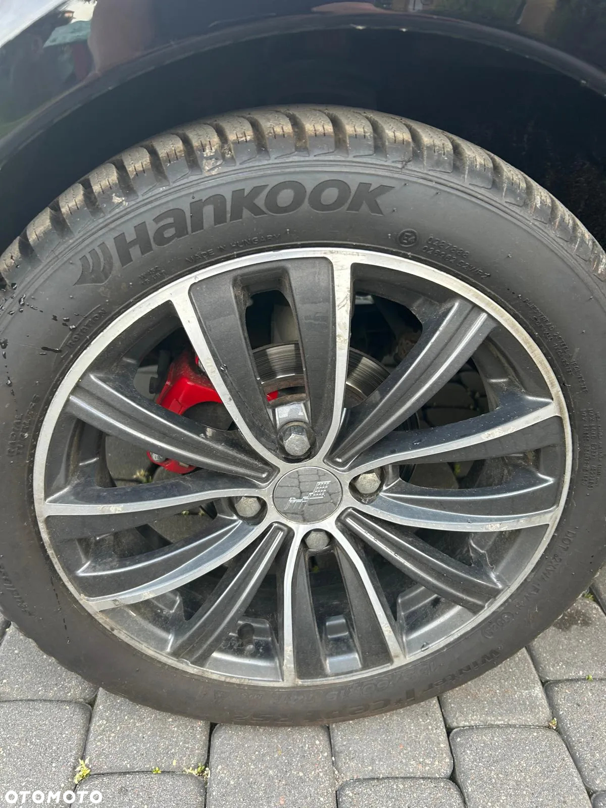 Ligier JS50 - 12