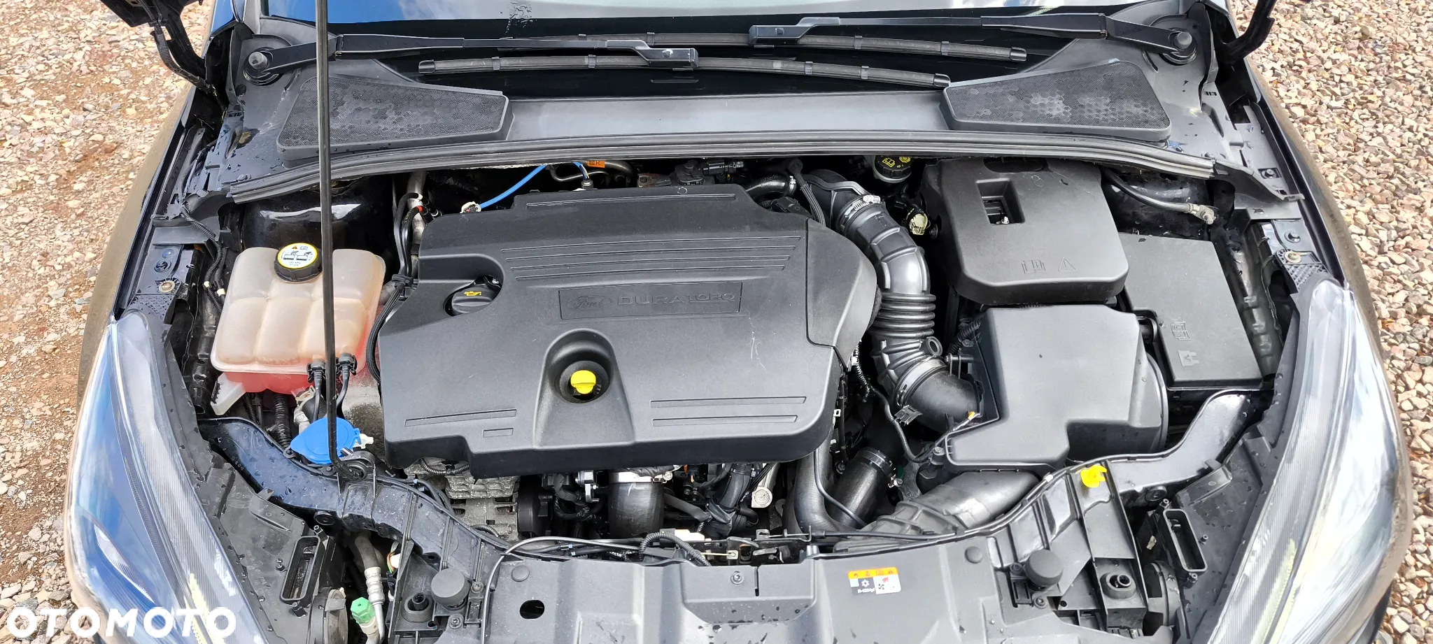 Ford Focus - 35