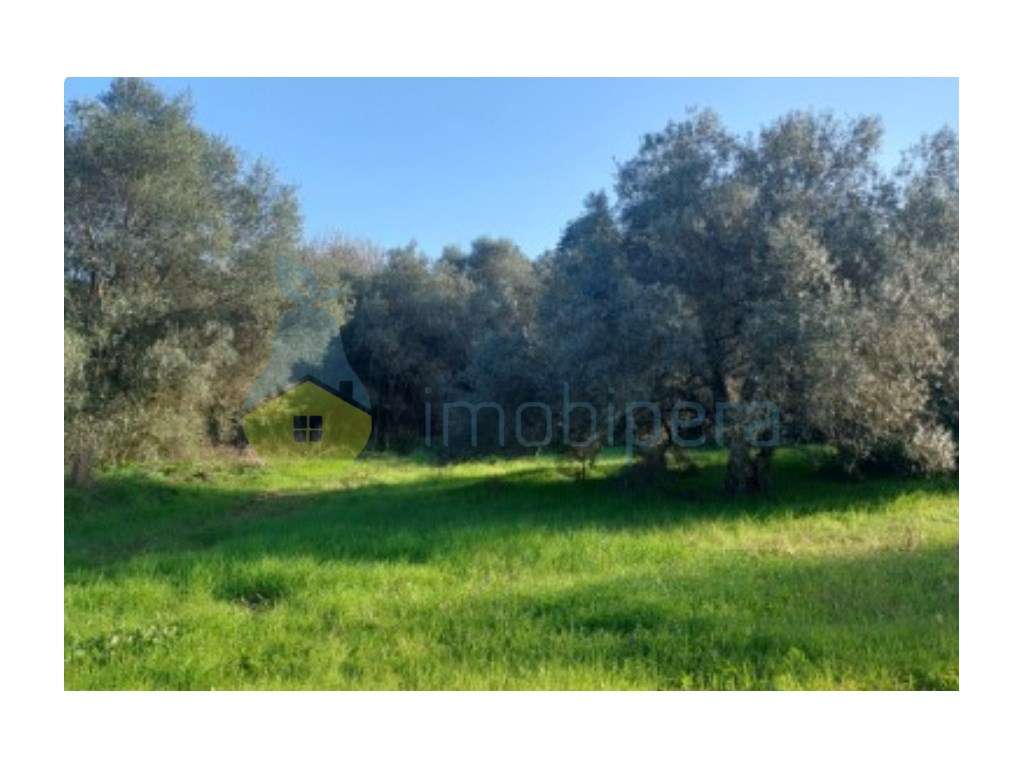 Terreno Rústico | Armazém com 72m2 Registrado | Luz | Furo - Grande imagem: 5/13