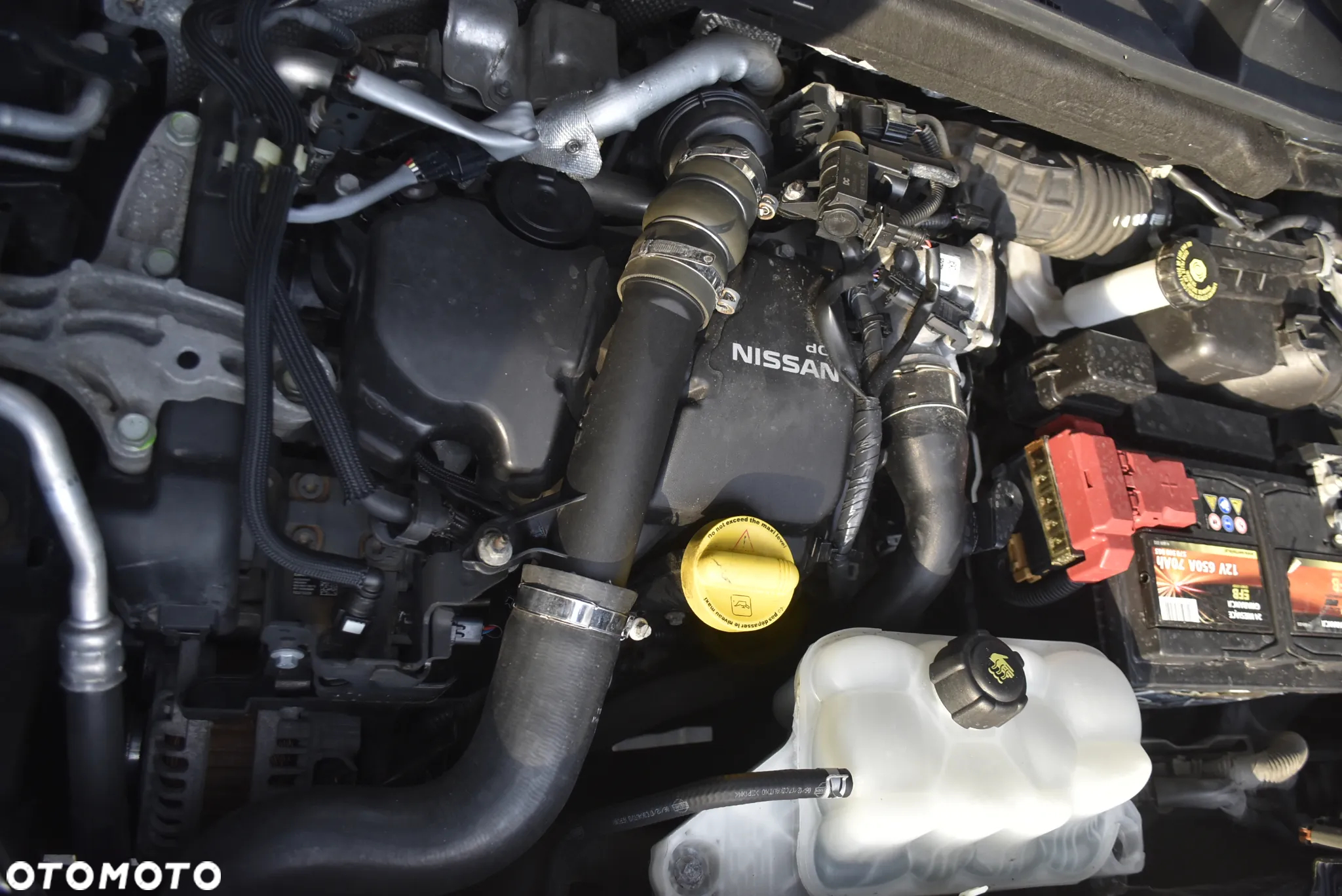 Nissan Juke 1.5 dCi Dynamic Edition EU6 - 13