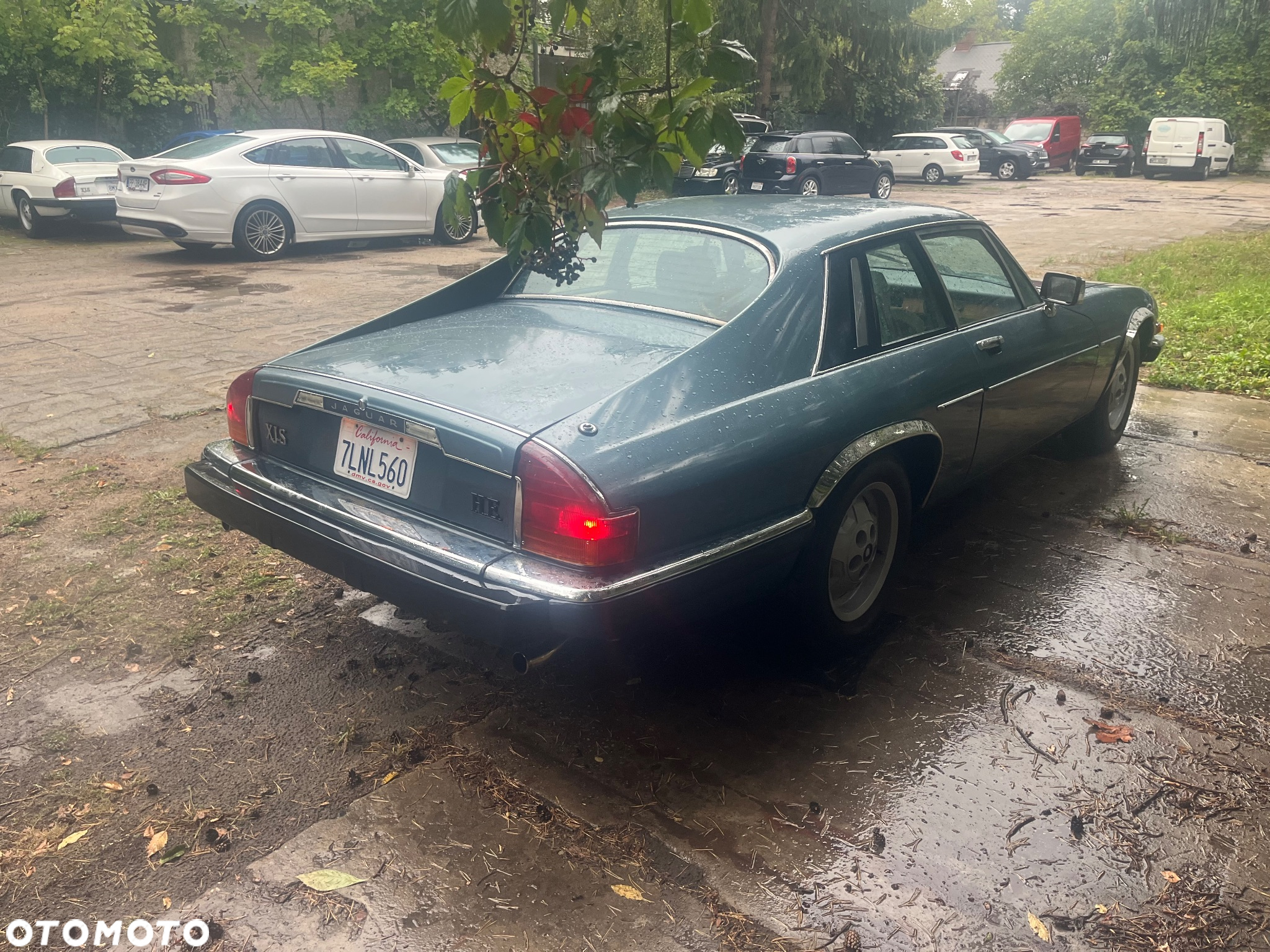 Jaguar XJS Convertible 5.3 - 5