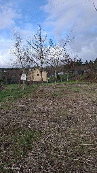 Terreno com 3500m2 em Coura - Grande imagem: 3/10