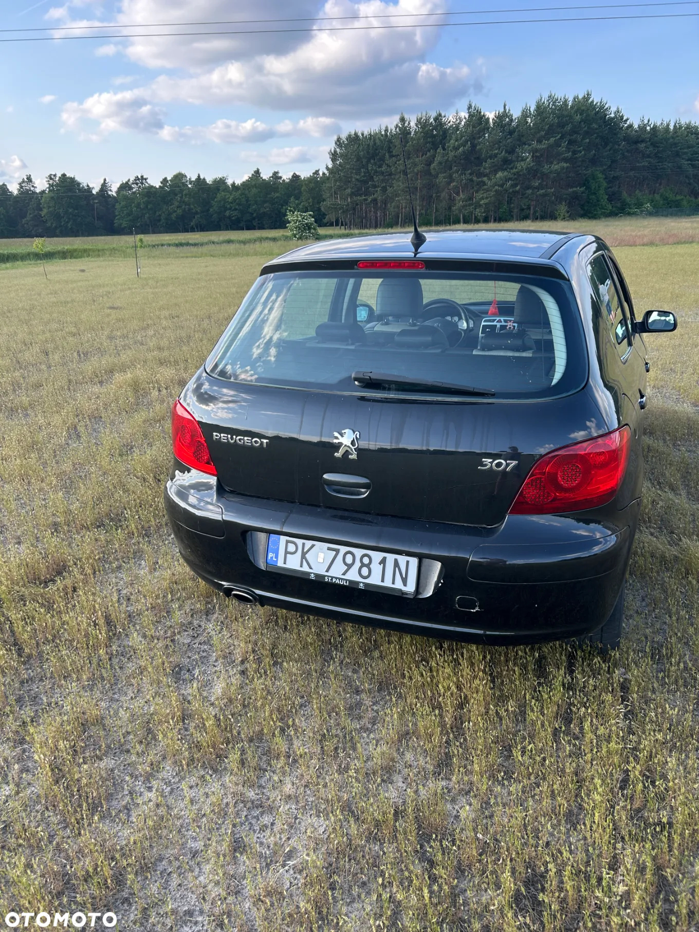 Peugeot 307 1.6 - 6