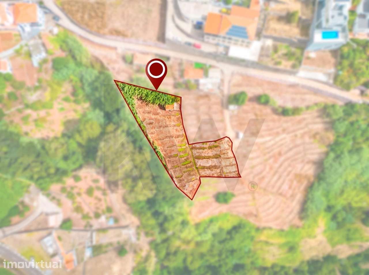 Terreno de 2.355 m2 com Palheiro e Viabilidade Construtiva | Madeira - Grande imagem: 5/13