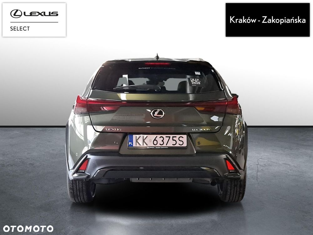 Lexus UX 300h F Sport Design - 9