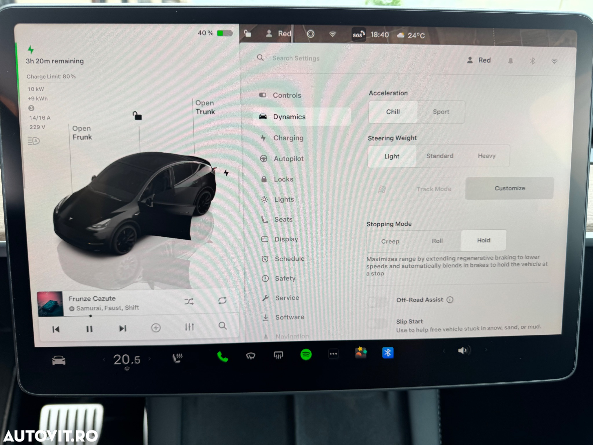 Tesla Model Y Performance - 16