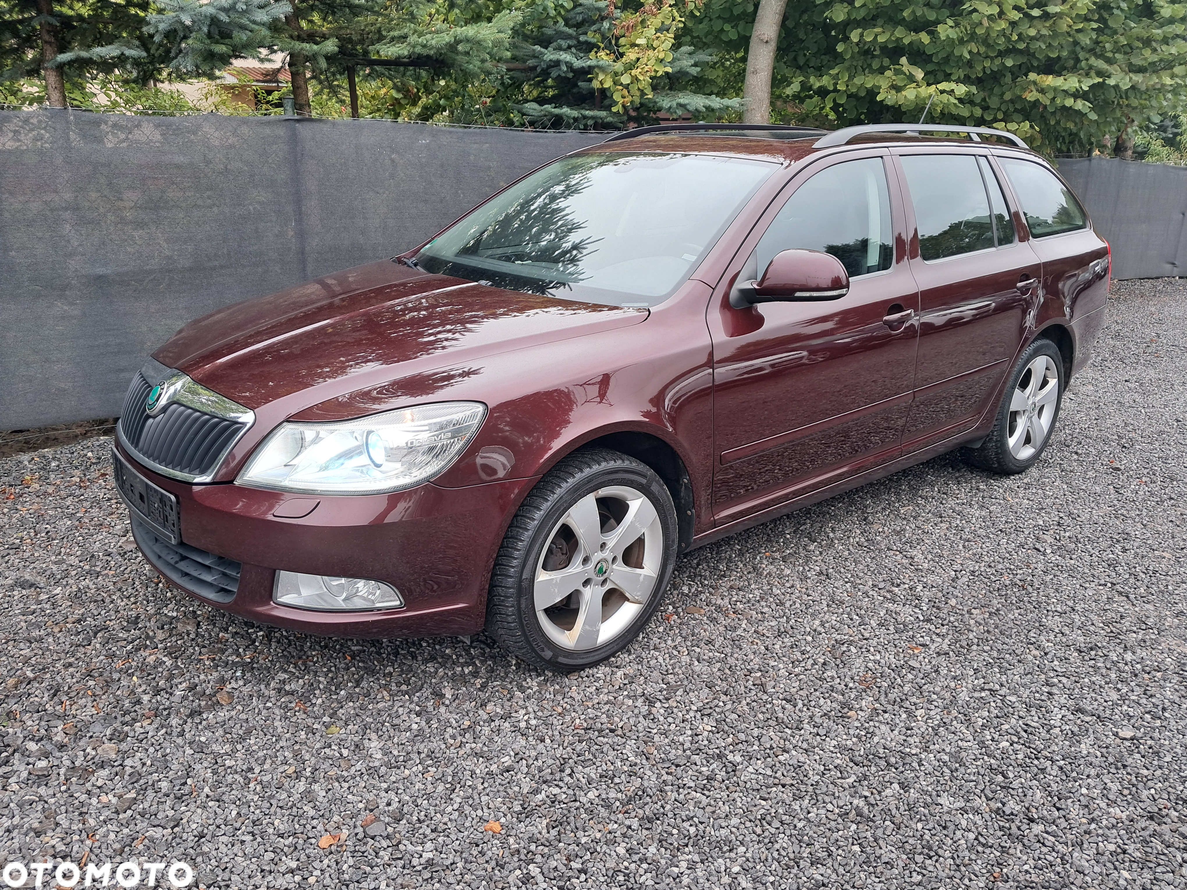 Skoda Octavia - 36