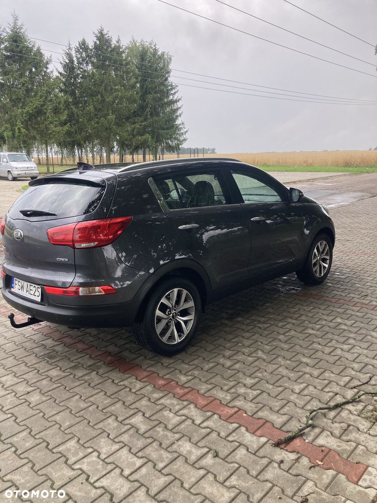 Kia Sportage - 3