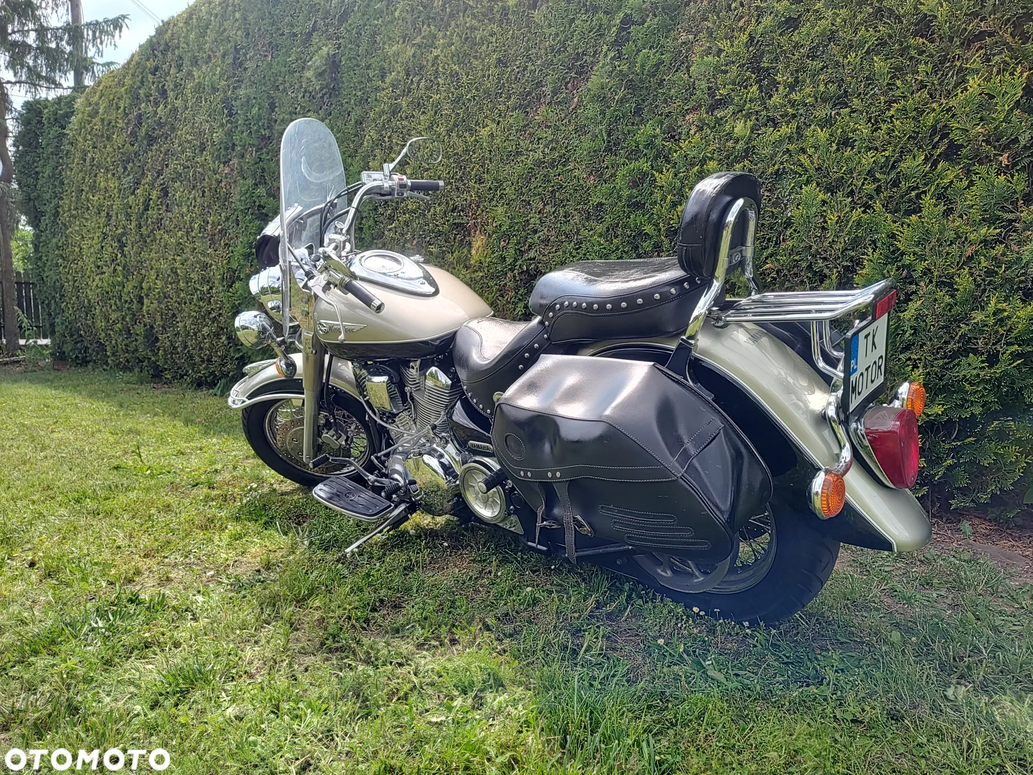 Yamaha Wild star - 7