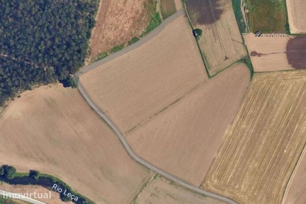 Terreno em Custóias - Grande imagem: 3/12