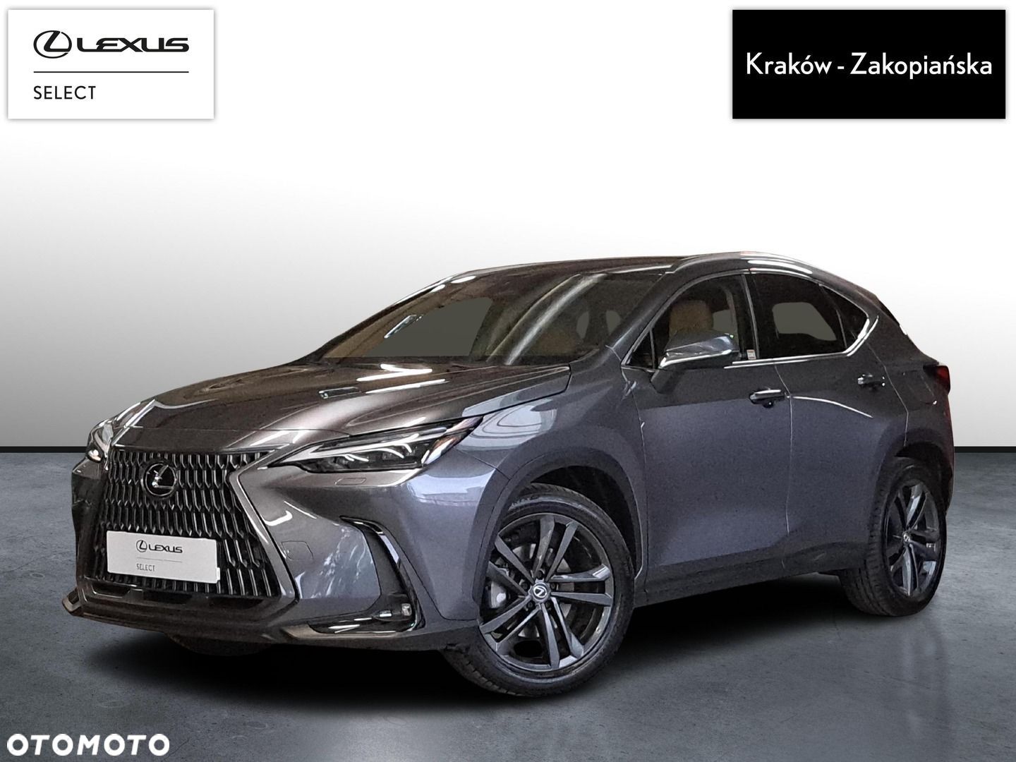 Lexus NX - 1