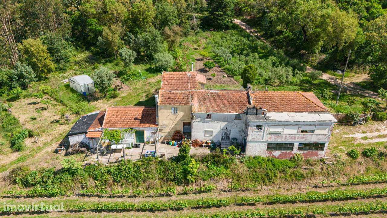 Quinta com 8 hectares com potencial para construção – Antanhol - Coimb - Grande imagem: 4/19