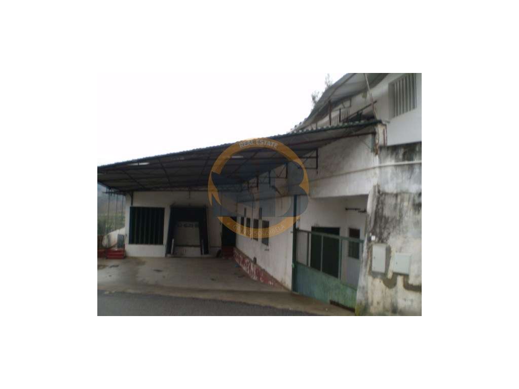 Armazém Oliveira de Azeméis - Grande imagem: 3/11