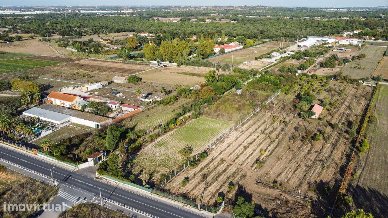 Terreno Rústico em Quinta do Anjo, Palmela - 11.800m2 - Grande imagem: 5/21