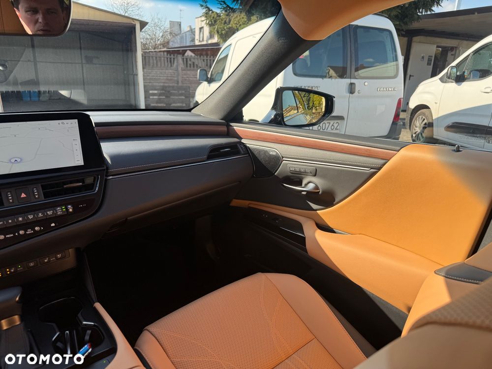 Lexus ES 300h Omotenashi - 10