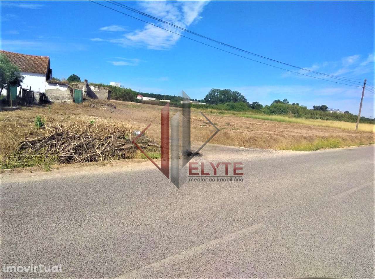 terreno Foros Salvaterra - Grande imagem: 2/7