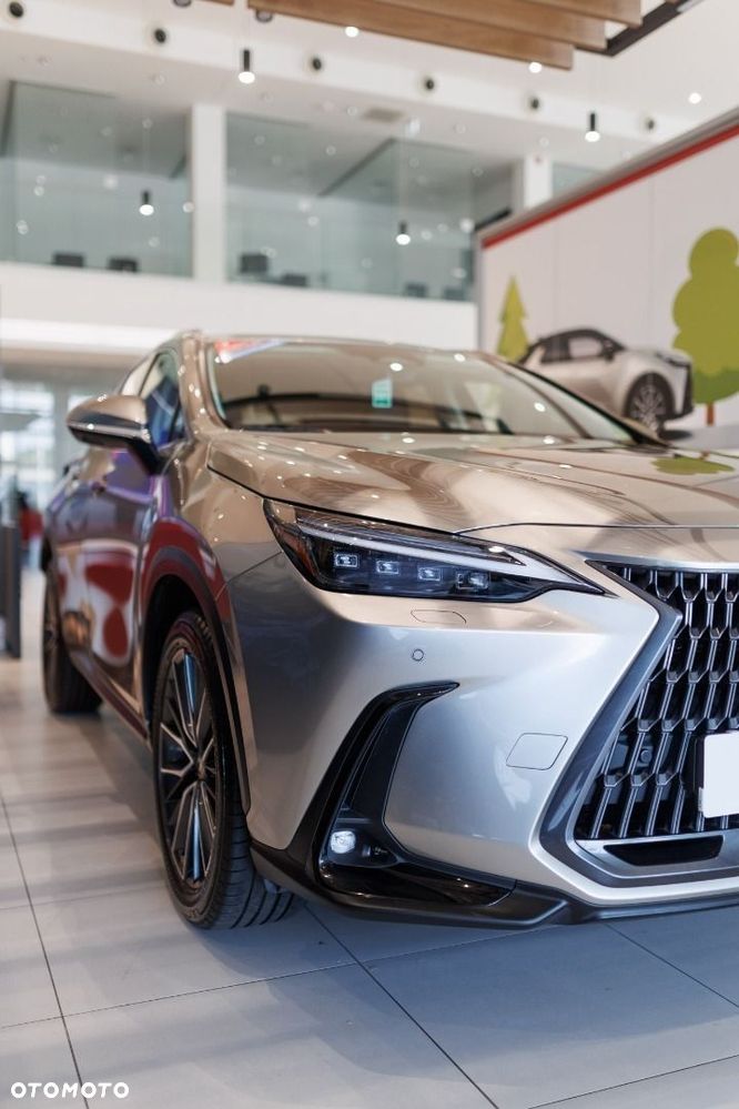 Lexus NX - 13