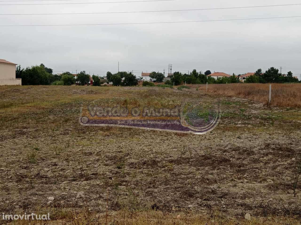 Terreno em Foros de Salvaterra (F698) - Grande imagem: 4/5