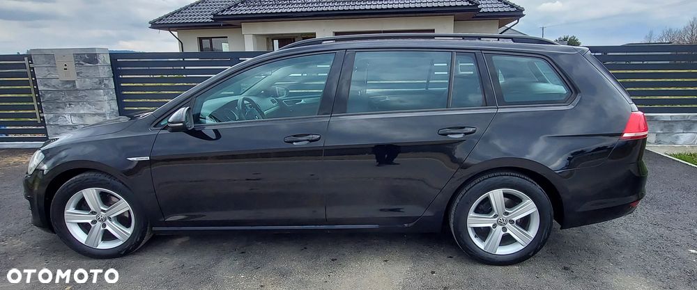 Volkswagen Golf - 9