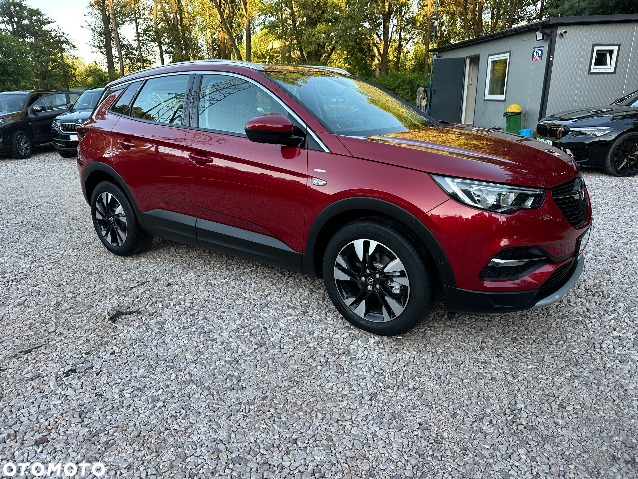 Opel Grandland X 1.2 T GPF Edition Business Pack S&S - 9