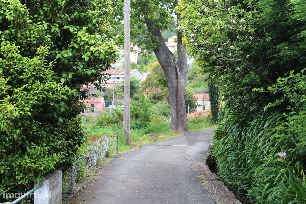 Terreno na levada da serra - Rochão (Achadinha) Camacha - Grande imagem: 5/15