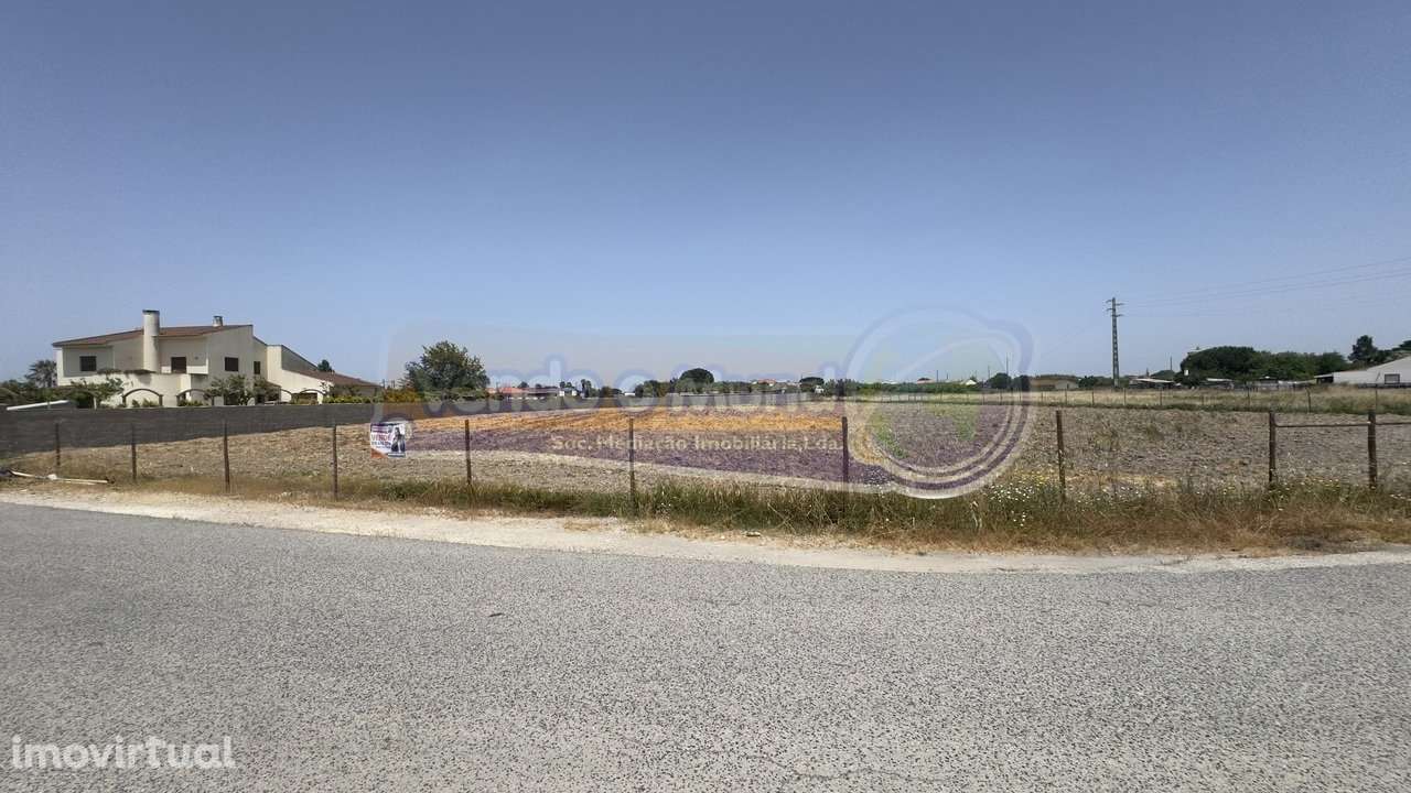 Terreno no Porto Alto (PALT365) - Grande imagem: 3/12