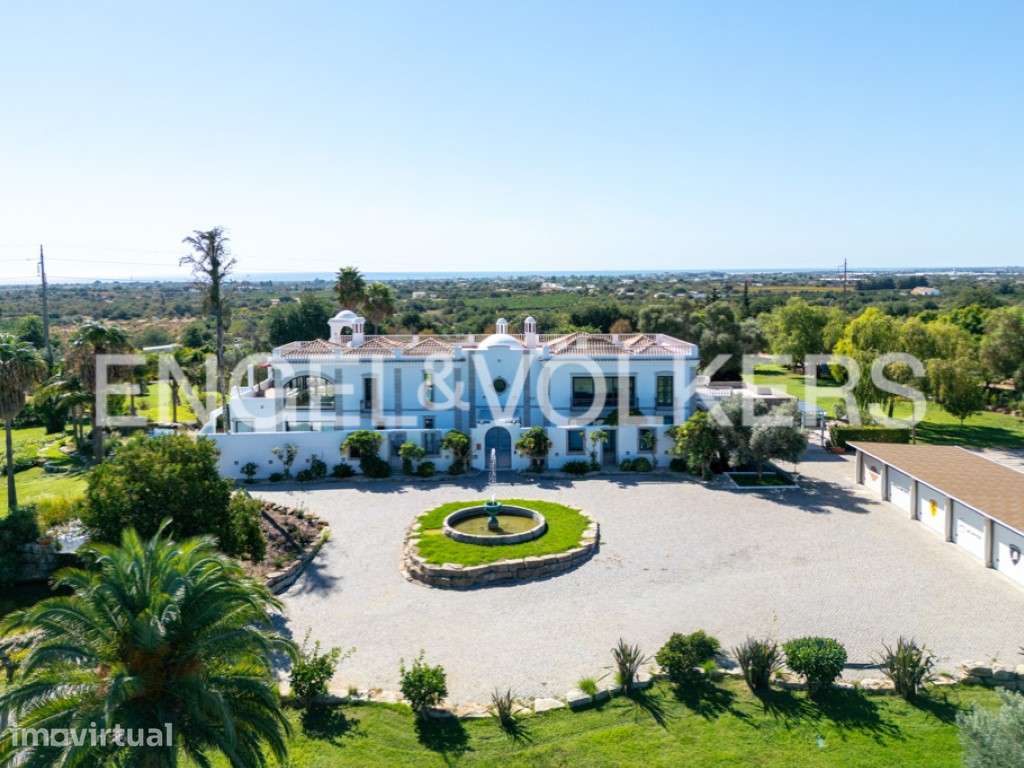 Magna House - Grande imagem: 3/47