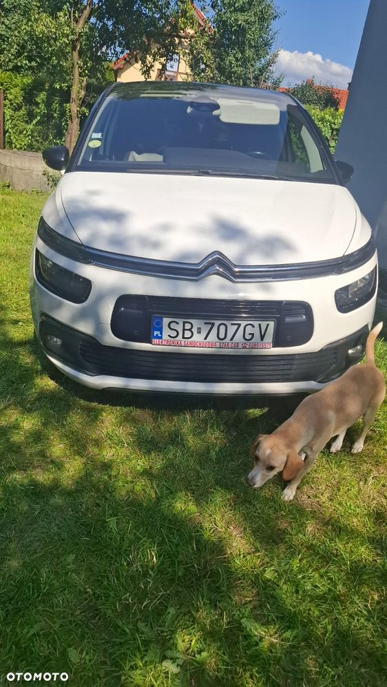 Citroën C4 Picasso 1.6 BlueHDi MoreLife S&S - 25
