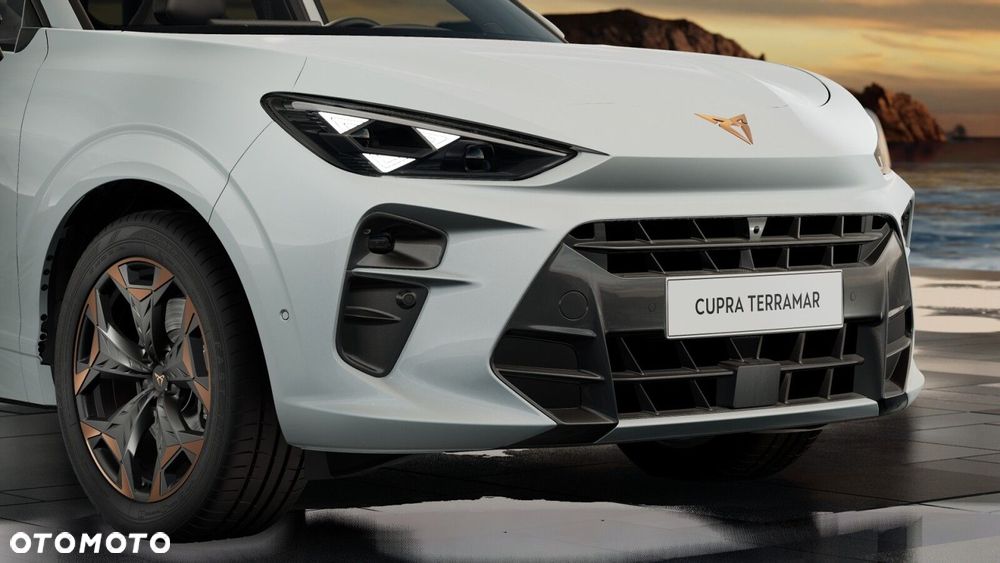Cupra Terramar 2.0 TSI 4Drive DSG - 10