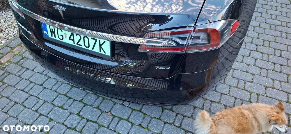 Tesla Model S Long Range Plus - 7