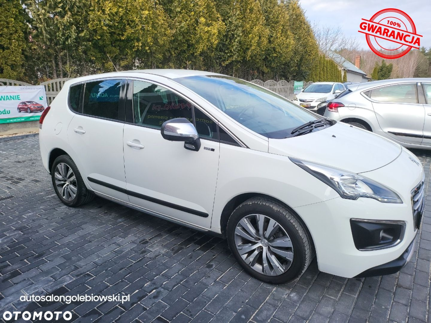 Peugeot 3008 - 20