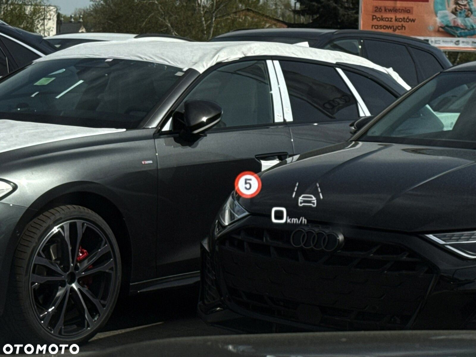 Audi Q7 - 23