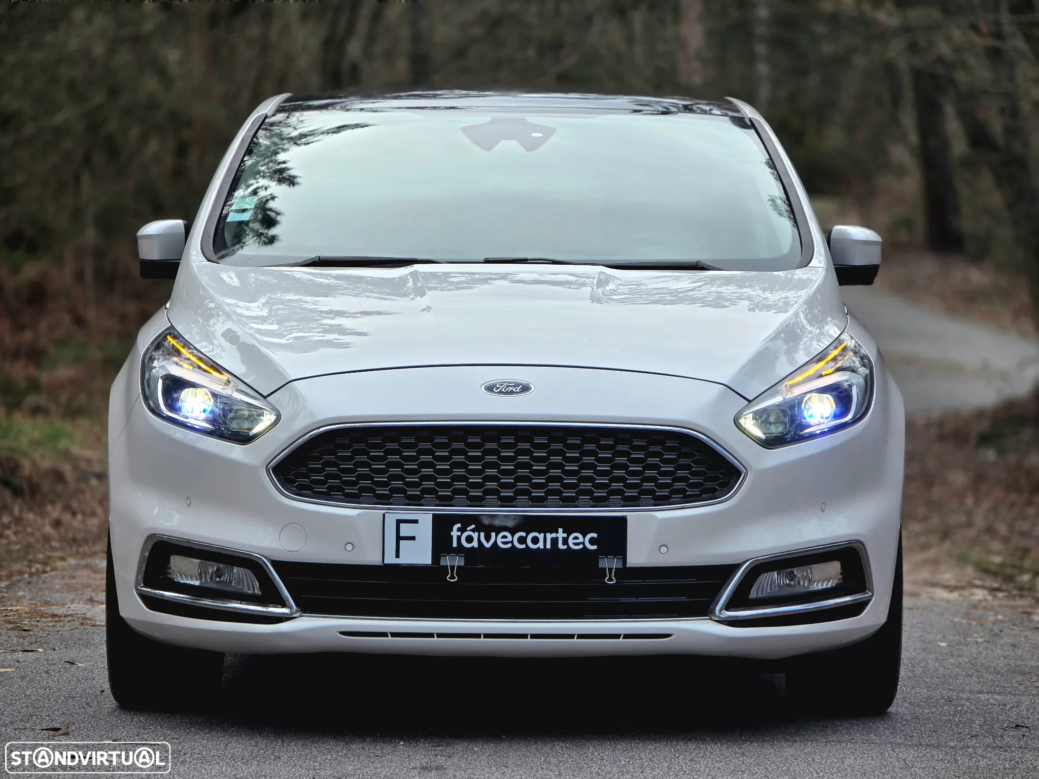 Ford S-Max 2.0 TDCi Vignale Powershift - 4