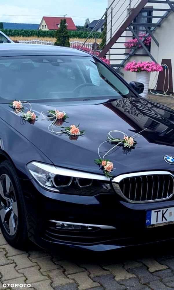 BMW Seria 5 530e iPerformance GPF Luxury Line sport - 8