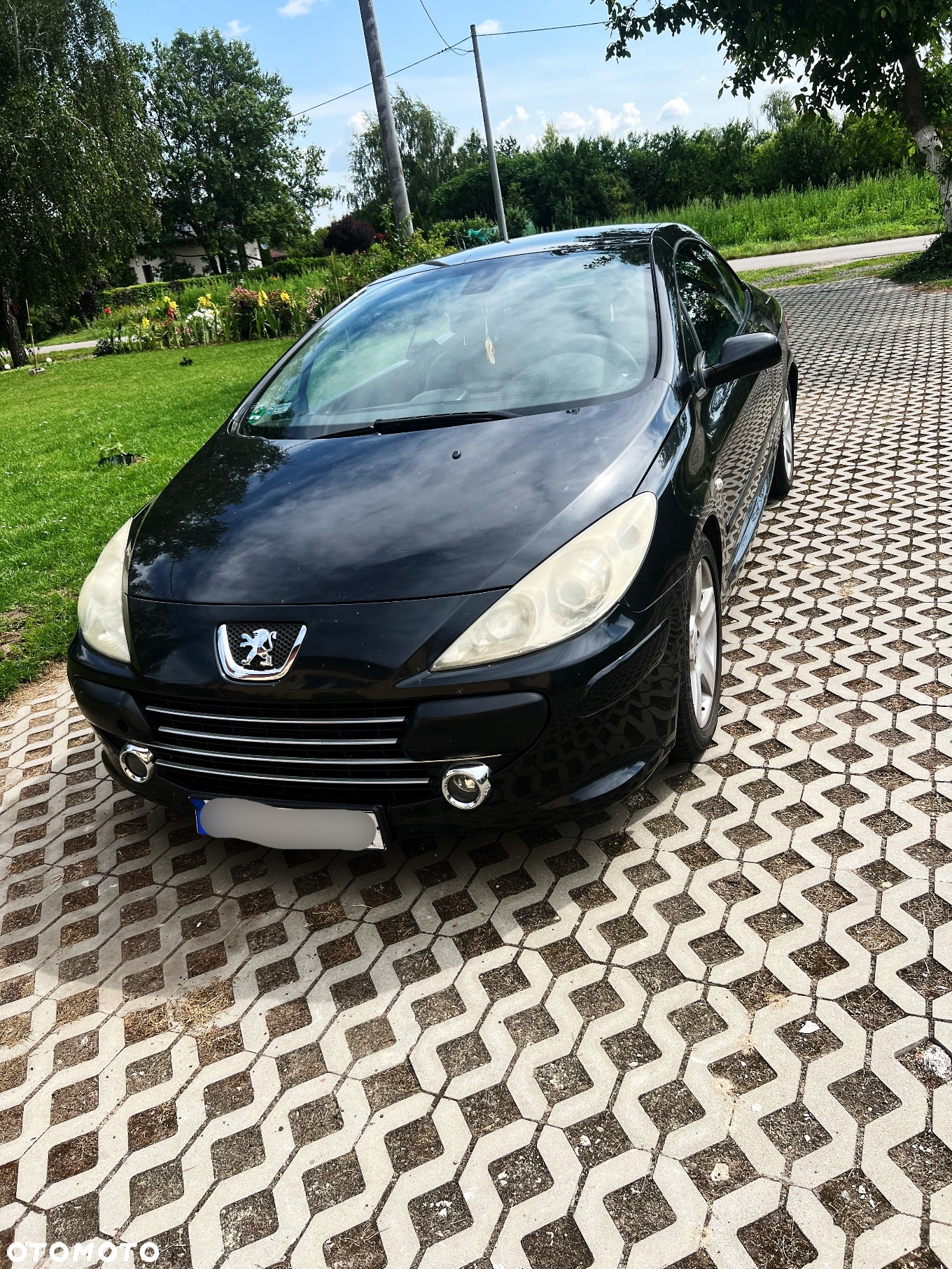 Peugeot 307 CC 2.0 - 5