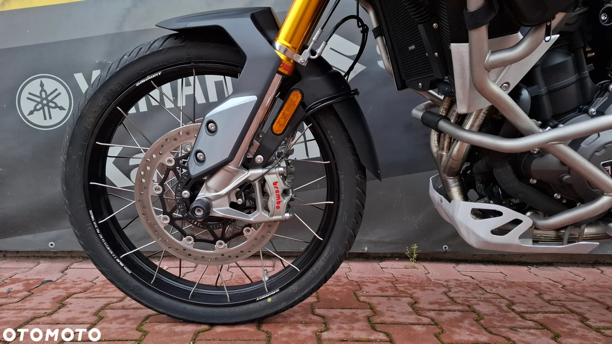 Triumph Tiger - 13