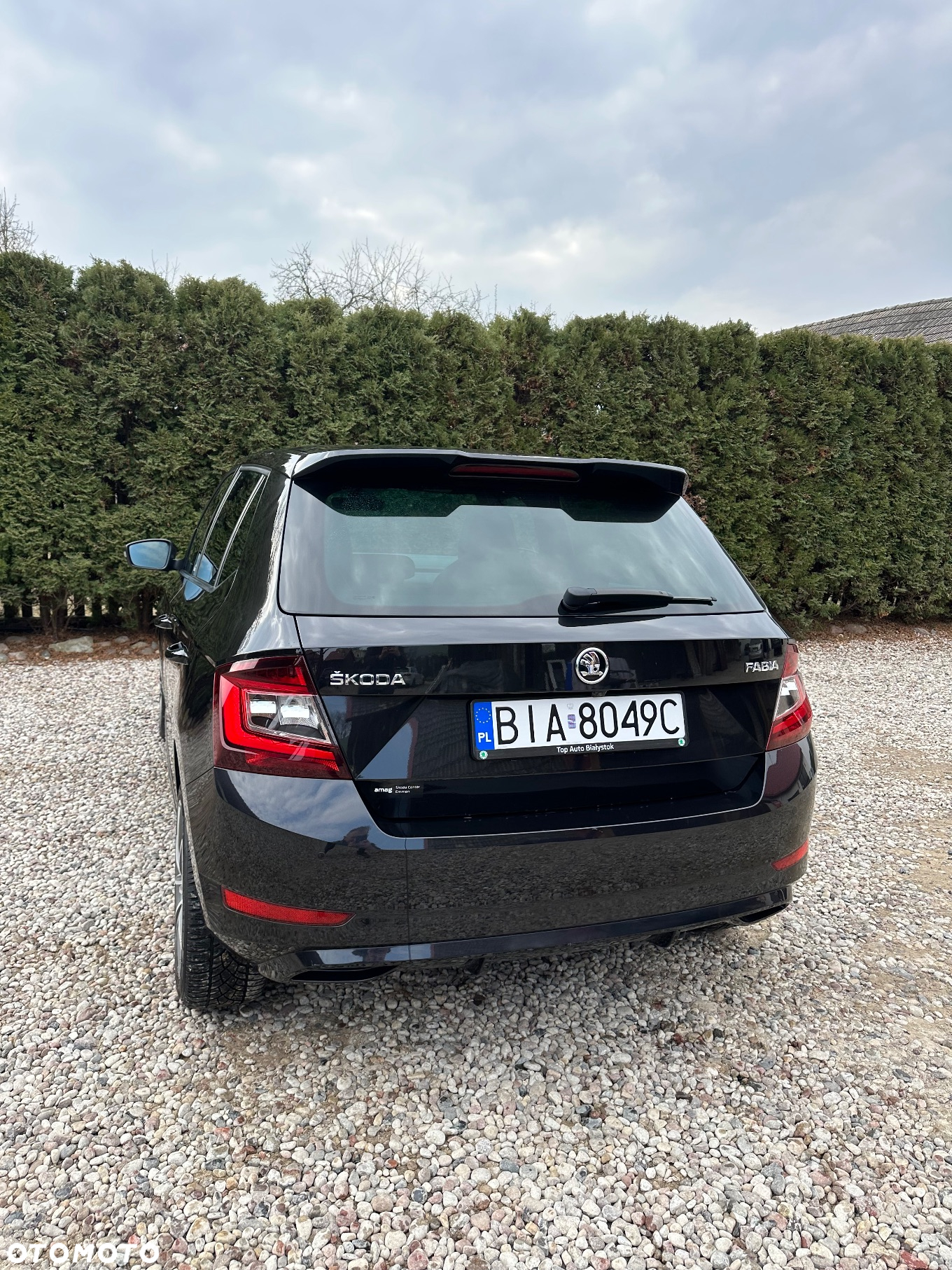 Skoda Fabia 1.0 TSI Monte Carlo - 11