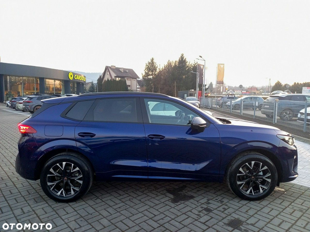 Cupra Terramar - 4