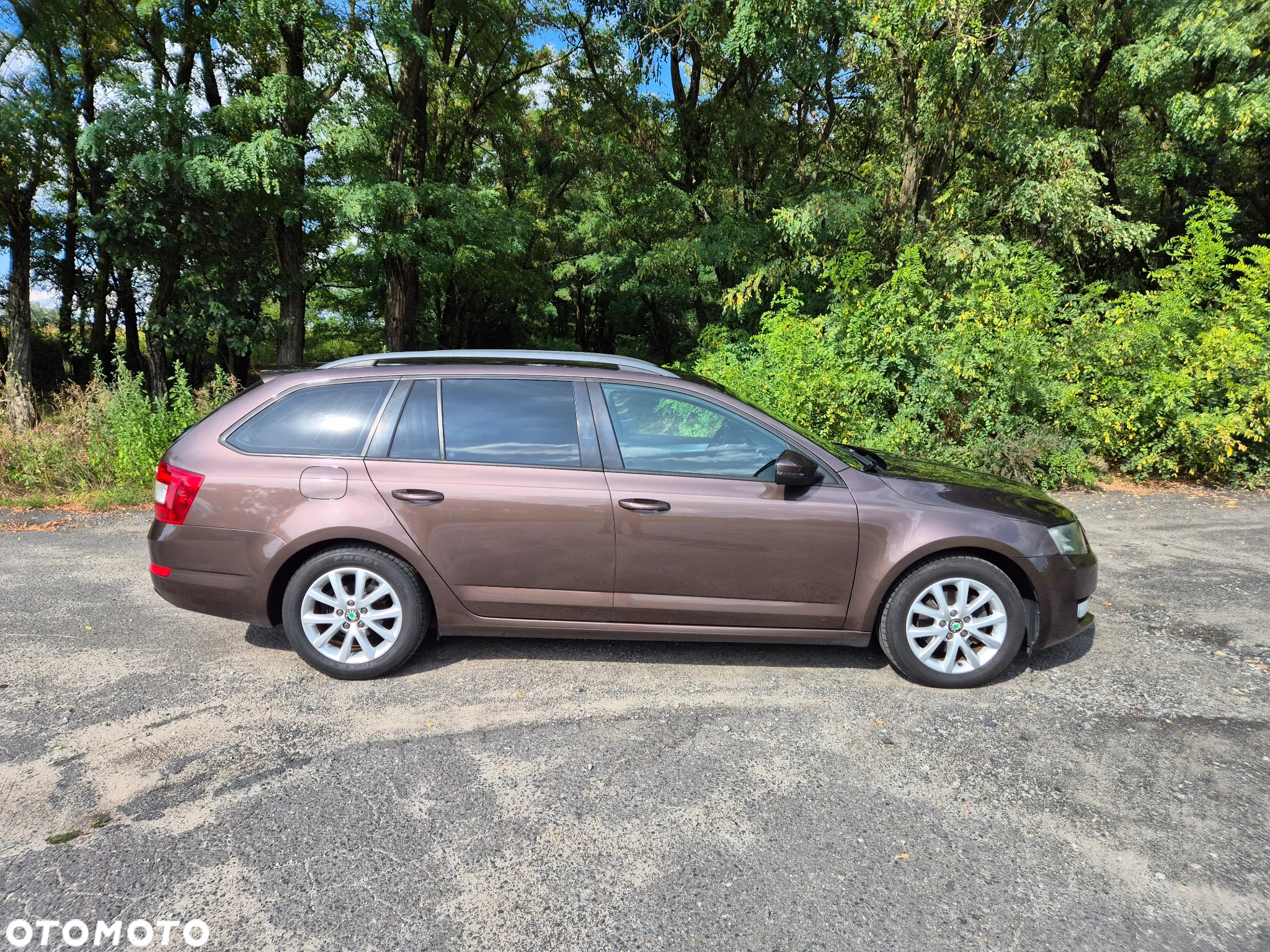Skoda Octavia - 12