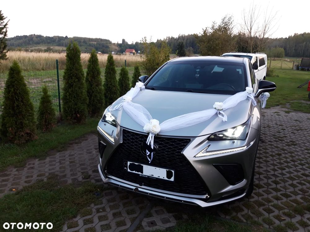 Lexus NX 300 GPF F Sport AWD - 9