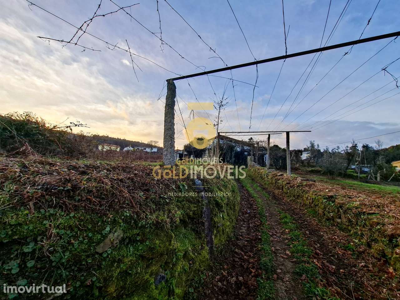Quintinha T3 Venda em Santa Maria de Sardoura,Castelo de Paiva - Grande imagem: 3/34