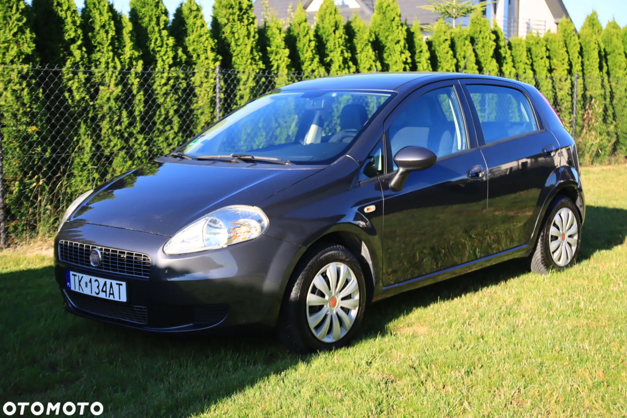 Fiat Grande Punto - 1