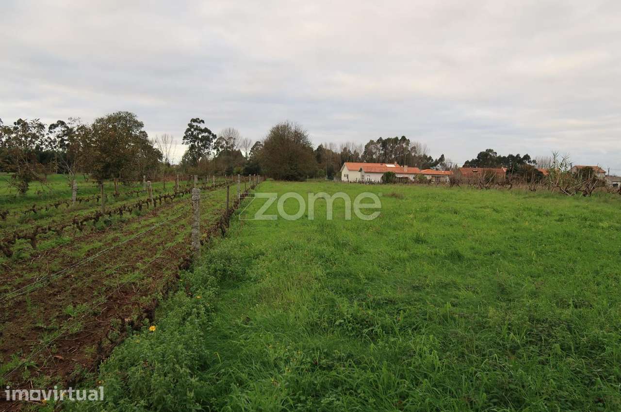 Terreno para construção com 1300m2 - Grande imagem: 3/15