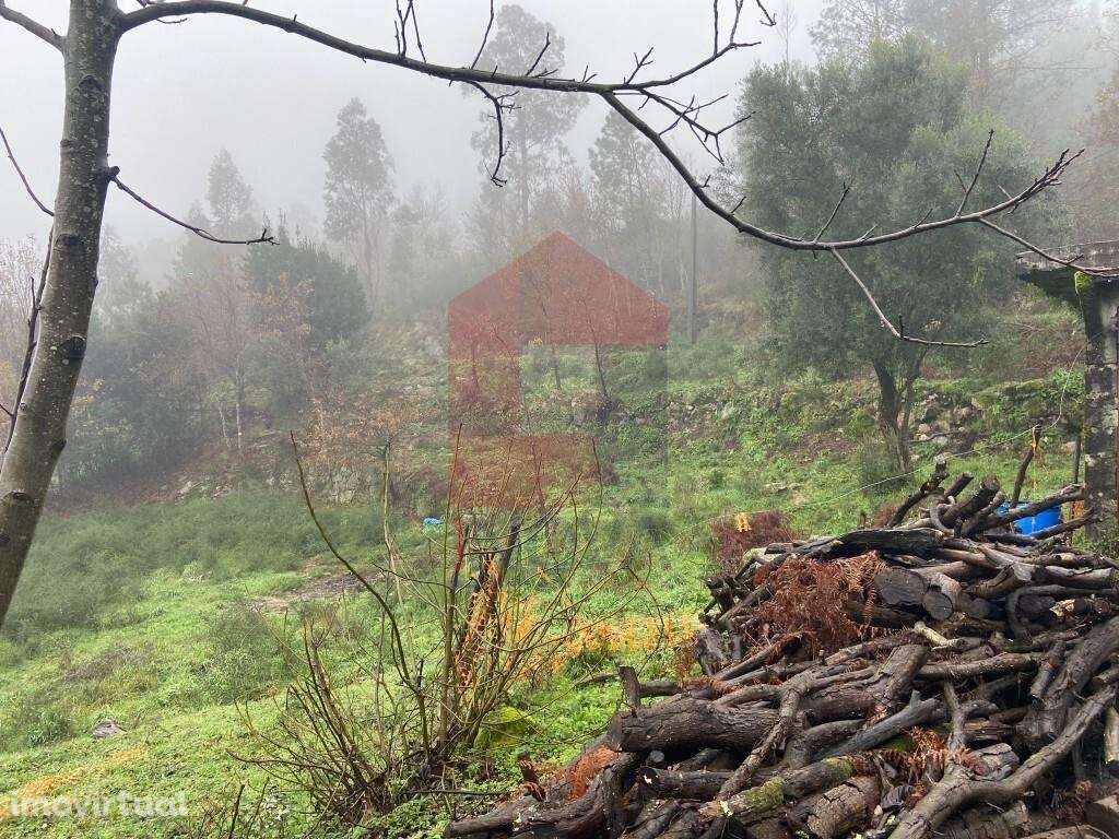 Terreno agrícola, Barros - Grande imagem: 5/14