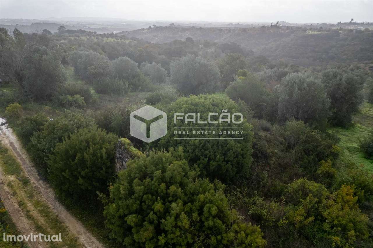 Terreno Misto T3 Venda em Pernes,Santarém - Grande imagem: 5/26