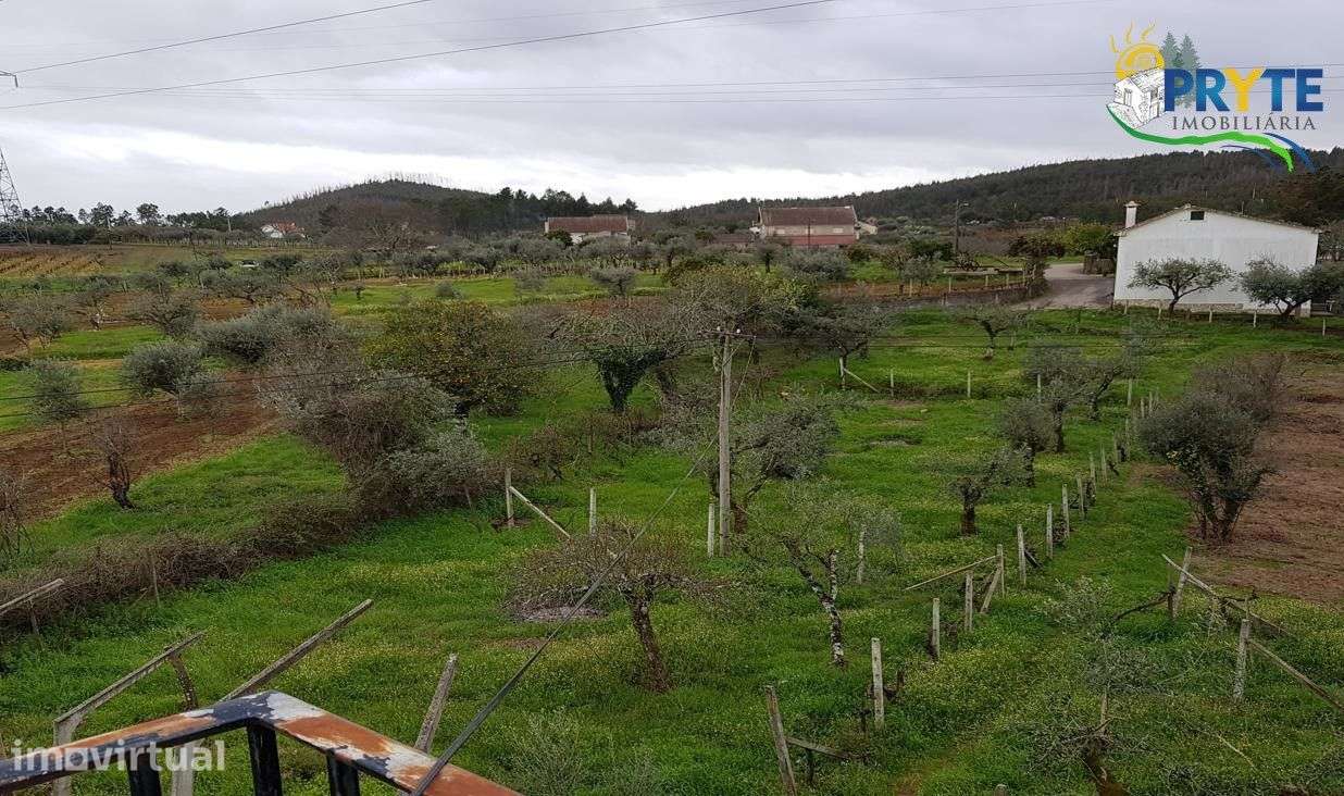 Moradia T3 no Outeiro do Pampilhal - Cernache do Bonjardim - Grande imagem: 4/25