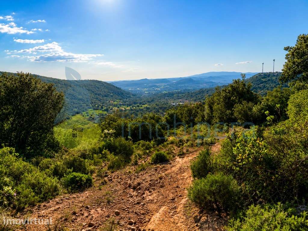Terreno agricola com vista panoramica em Pomar Pico Alto S.Bartolom... - Grande imagem: 4/5