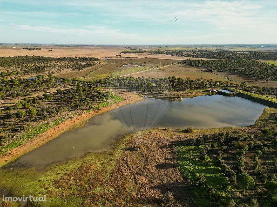 Quinta T3 para venda - Grande imagem: 3/33