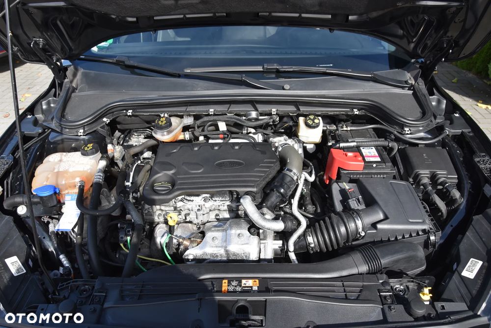 Ford Focus 1.5 EcoBlue Start-Stopp-System TITANIUM - 25